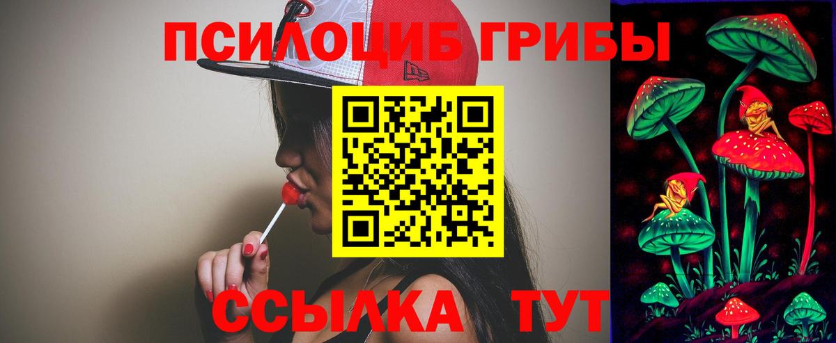 Псилоцибиновые грибы мухоморы Карачаевск